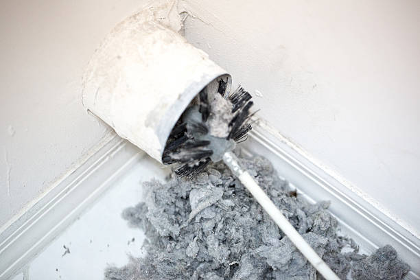 Best HVAC Air Duct Cleaning  in Long Grove, IL
